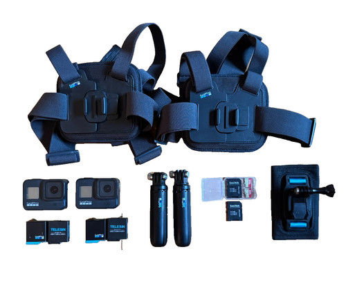 Pair gopro hero - gopro, black